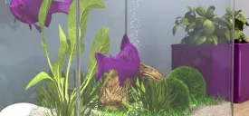 Afkitten van aquaria
