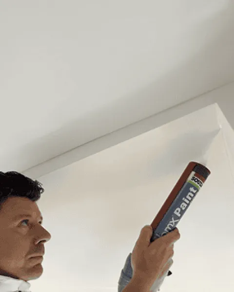 HMX paint PRO