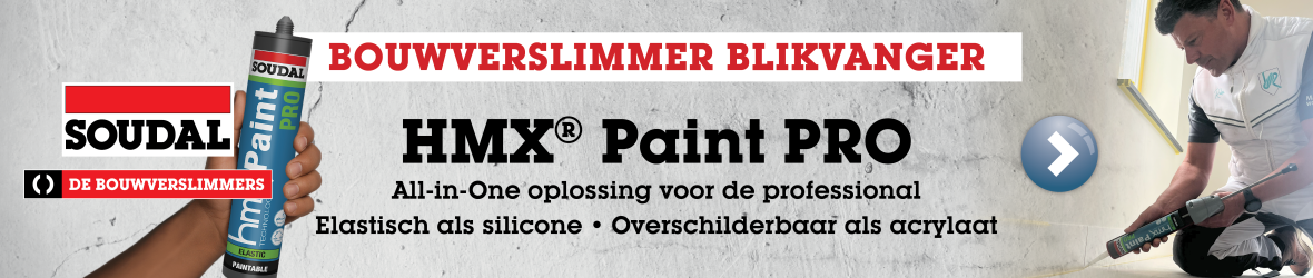 HMX Paint PRO