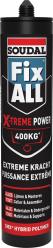 Fix ALL X-treme Power Wit 290ml
