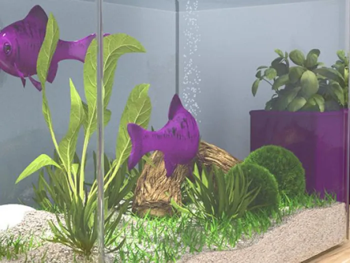 Jointoyer des aquaria