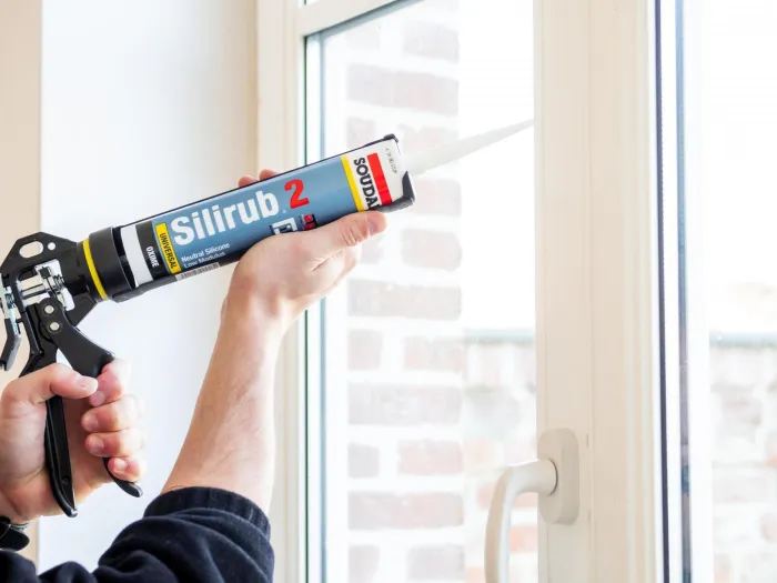 silirub 2