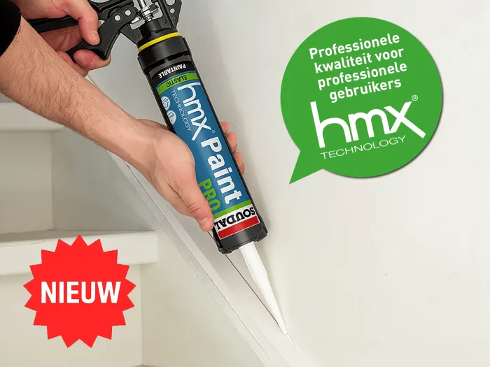HMX Paint PRO